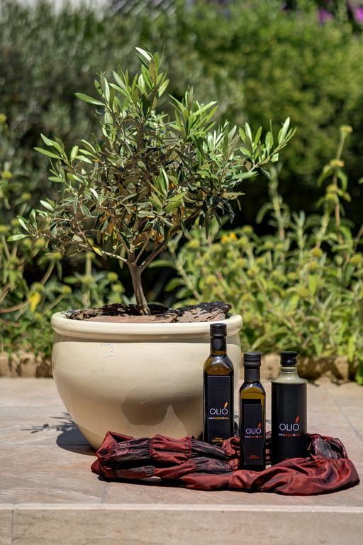 Appia Antica Resort Rzym Zewnętrze zdjęcie